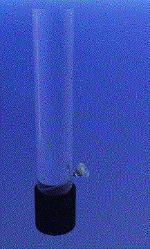A colorful abstract GIF.